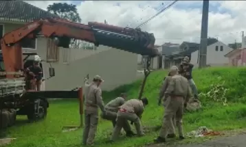 Cavalo morre após cair em bueiro em Ponta Grossa; moradores pediram conserto em janeiro 