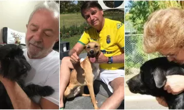 De mudança para Brasília, 'Resistência' não será a 1ª pet a morar no Palácio da Alvorada; conheça os animais de estimação dos presidentes do Brasil