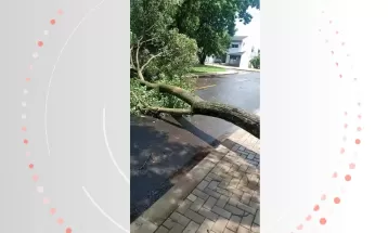 Chuva com ventos de mais de 70 km/h derruba árvores em Foz do Iguaçu