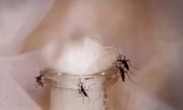 Foz do Iguaçu registra 5ª morte por dengue em 2023, afirma secretaria de saúde do município 