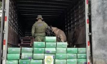 Cão farejador ajuda polícia a encontrar mais de 600 kg de maconha no Paraná