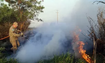 Registros de incêndios ambientais aumentam 41% no Paraná, diz Corpo de Bombeiros