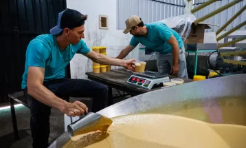 Feira do melado, porco no rolete e balonismo: veja o calendário turístico do Paraná em setembro