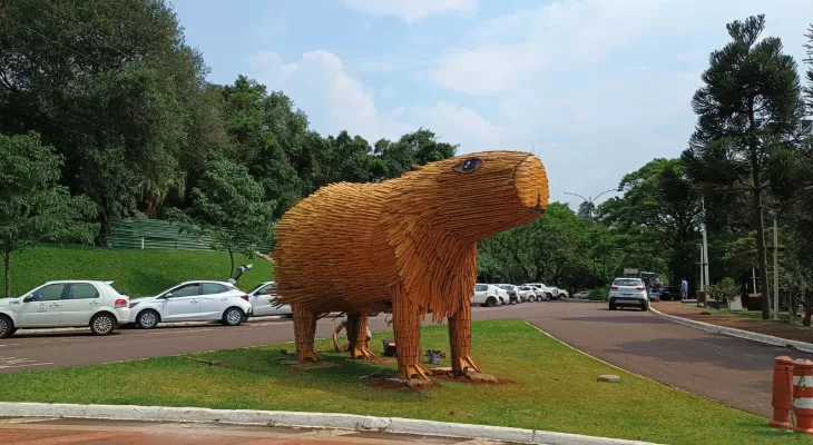 Natal dos Pioneiros: Capivaras gigantes chamam atenção em Cascavel