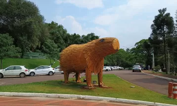 Natal dos Pioneiros: Capivaras gigantes chamam atenção em Cascavel