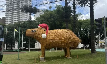 Decoração natalina de Cascavel será inaugurada amanhã. Confira detalhes do projeto: