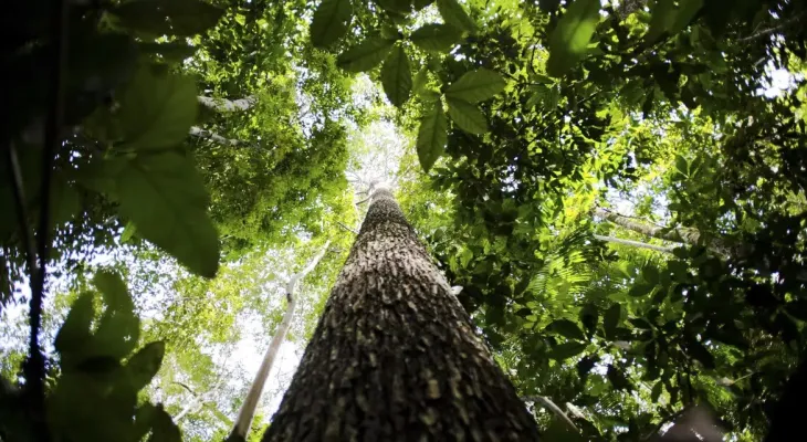 COP29 define financiamento climático de US$ 300 bilhões anuais até 2035, mas gera críticas