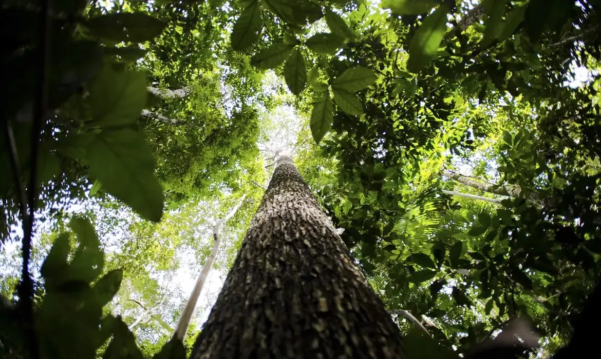 COP29 define financiamento climático de US$ 300 bilhões anuais até 2035, mas gera críticas