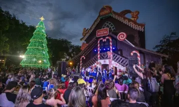 Programação do Natal de Curitiba - Luz dos Pinhais divulga roteiro gastronômico