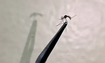 Cascavel emite alerta para casos de chikungunya após confirmação de oito casos