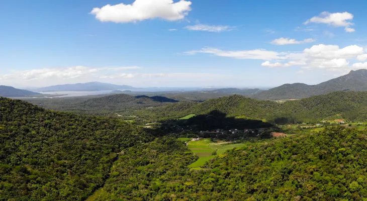 MPF: irregularidades expõem desafios na fiscalização ambiental no litoral do Paraná