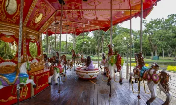 Confira o roteiro para aproveitar o Natal de Curitiba Luz dos Pinhais com as crianças