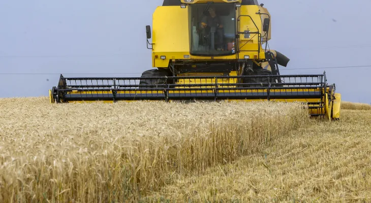 Setor produtivo contesta veto à subvenção do seguro rural pelo Governo Federal