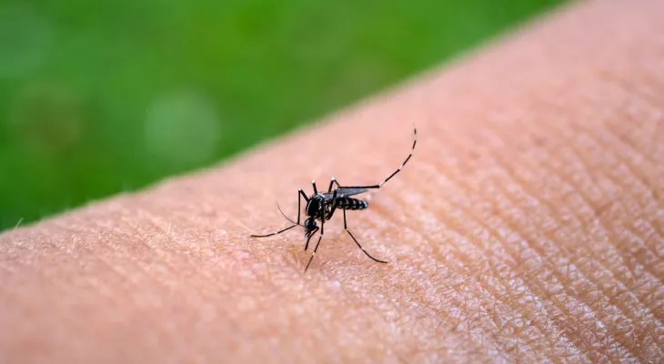 Secretaria de Saúde em alerta por casos de chikungunya em Cascavel