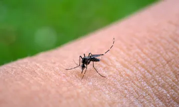 Secretaria de Saúde em alerta por casos de chikungunya em Cascavel