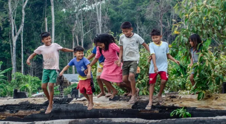 Para ministra, retirada de invasores na Terra Munduruku representa marco na defesa dos Povos Indígenas