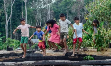 Para ministra, retirada de invasores na Terra Munduruku representa marco na defesa dos Povos Indígenas