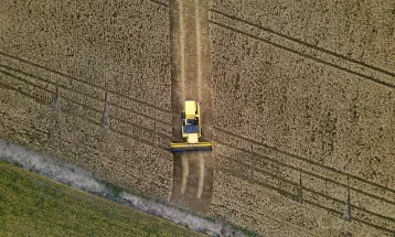 Paraná terá maior crescimento da produção agrícola entre estados do Sul e Sudeste em 2025