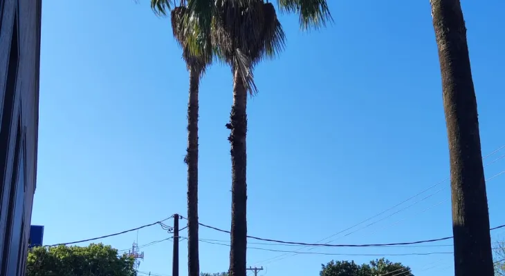 Sexta-feira de calor e tempo instável em Cascavel