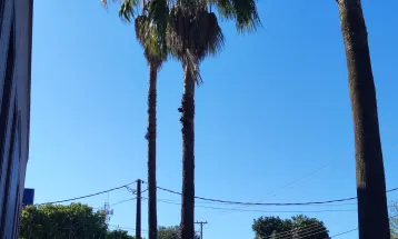 Sexta-feira de calor e tempo instável em Cascavel