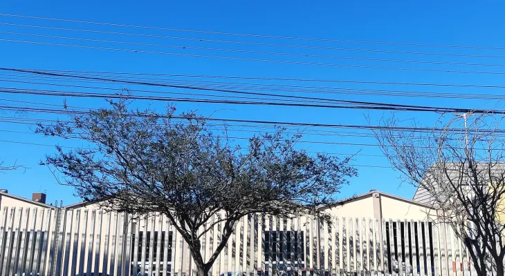 Cascavel amanhece com céu limpo, mas pode ter pancadas de chuva ao longo do dia