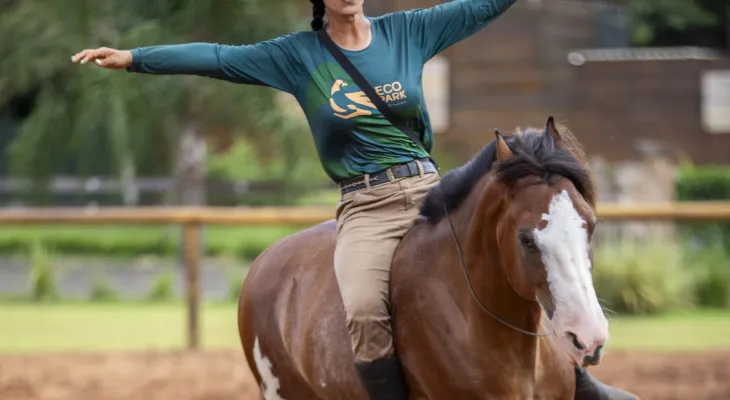 Eco Park Foz estreia apresentação que conta o relacionamento entre homem e cavalo