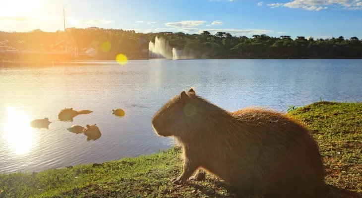 Semana começa com sol e calor em Cascavel; máxima chega a 31°C