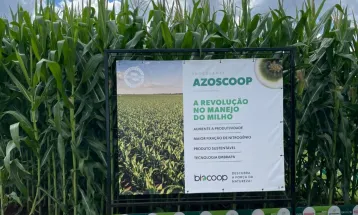 Novo inoculante para milho promete revolucionar a produtividade com sustentabilidade