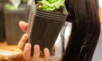 Pesquisa da Unioeste sobre cabelo humano em adubo é apresentado no Show Rural