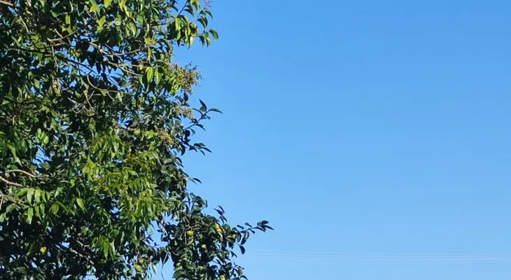 Domingo de sol e calor intenso em Cascavel