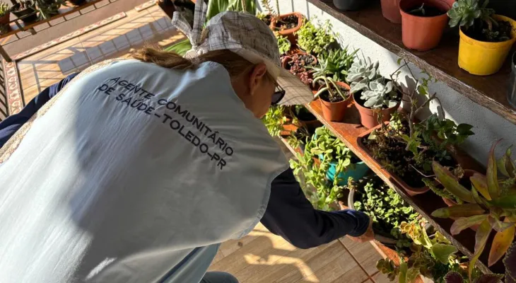 Endemias pede apoio da população para combater o mosquito da dengue em Toledo