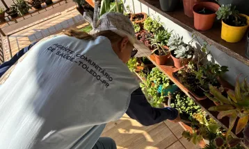Endemias pede apoio da população para combater o mosquito da dengue em Toledo