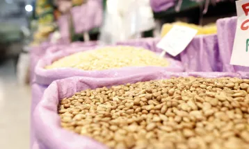 Preços estão mais animadores e produtores paranaenses podem ter bons ganhos nesta safra