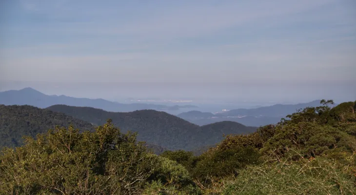 STF julgará Inconstitucionalidade de nova lei de licenciamento ambiental do Paraná