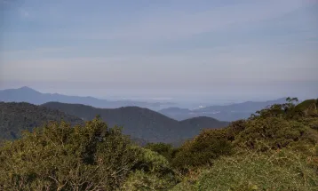 STF julgará Inconstitucionalidade de nova lei de licenciamento ambiental do Paraná