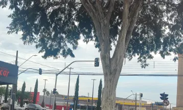 Previsão do Simepar indica chuva em Cascavel, com máxima de 25°C