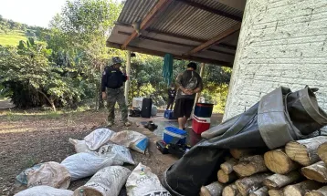 Em paralelo à Piracema, IAT aplica R$ 12,7 milhões em multas por crimes ambientais