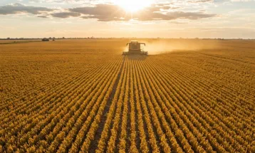 IBGE: estimativa prevê safra de 2025 10% maior que a de 2024, puxada por algodão e soja