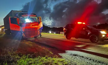 PMPR apreende 2,5 mil cigarros eletrônicos contrabandeados em Campo Largo