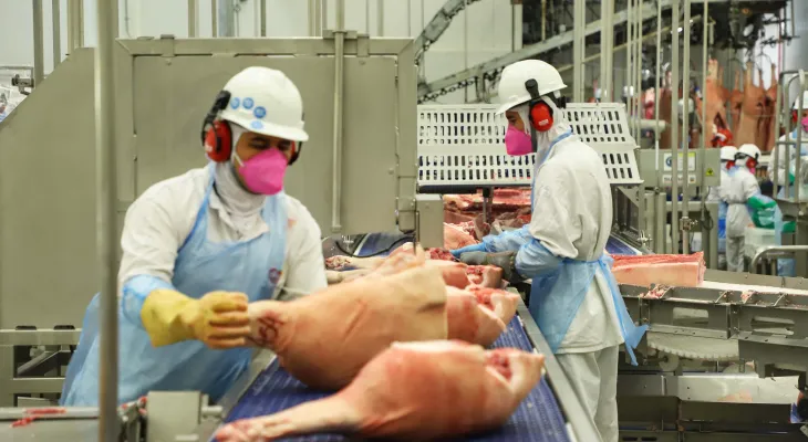 Paraná alcança maior participação da história na produção nacional de suínos