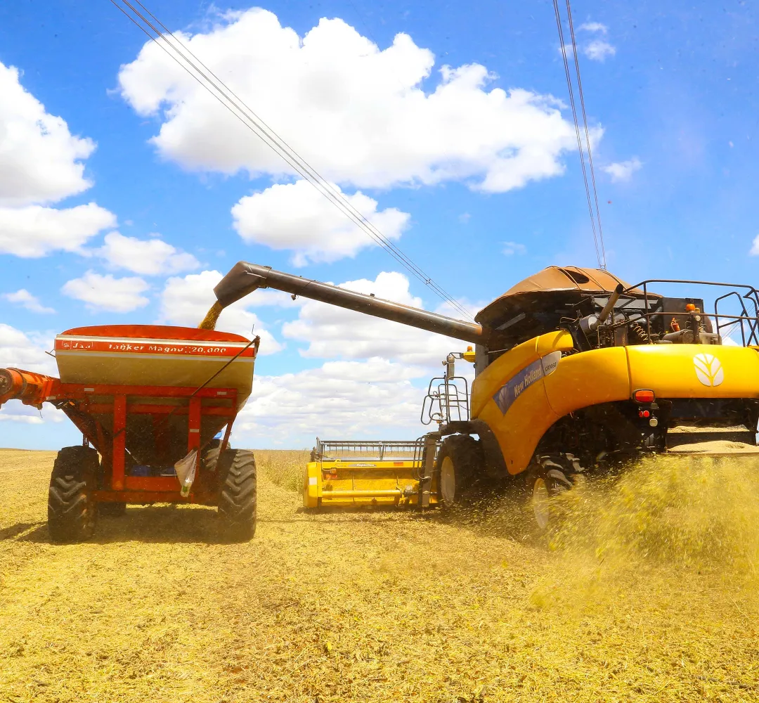 Endividamento no campo pressiona agro e mobiliza Congresso por pacote emergencial