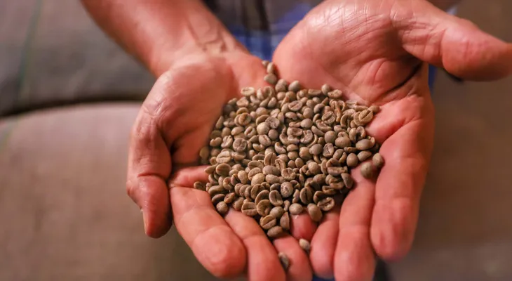 Comércio global: Paraná vendeu US$ 14,2 bilhões em alimentos e bebidas para 176 países em 2024