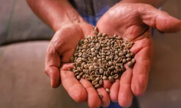 Comércio global: Paraná vendeu US$ 14,2 bilhões em alimentos e bebidas para 176 países em 2024