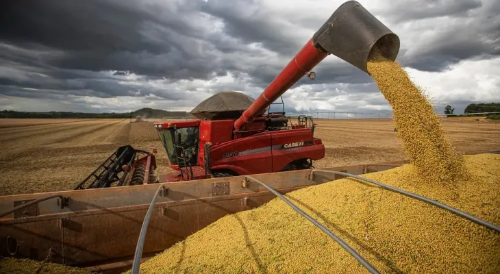Após primeiras colheitas, Conab confirma estimativa de safra recorde