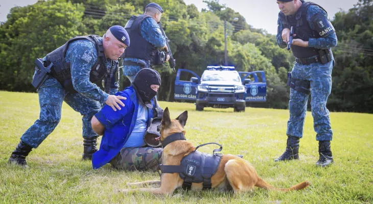 Cães da Guarda Municipal reforçam o combate à criminalidade em Curitiba