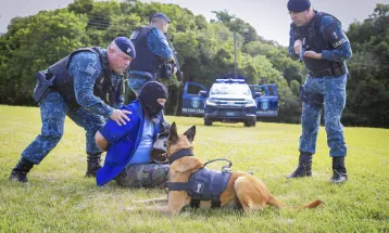 Cães da Guarda Municipal reforçam o combate à criminalidade em Curitiba