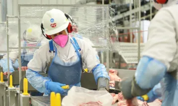 Carne suína, de frango e automóveis: exportações do Paraná saltam em 2025