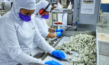 Com 65 empresas, Paraná tem 2º maior número de empregados na indústria de chocolates