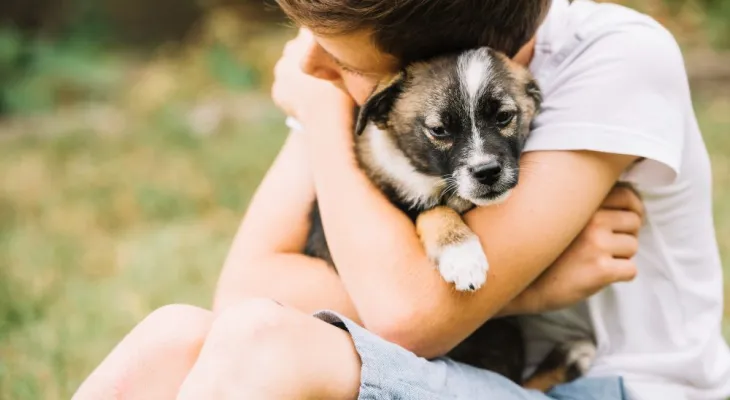 Proteção Animal: 50 cães vacinados e microchipados estarão disponíveis para adoção