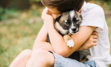 Proteção Animal: 50 cães  vacinados e microchipados estarão disponíveis para adoção